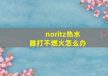 noritz热水器打不燃火怎么办