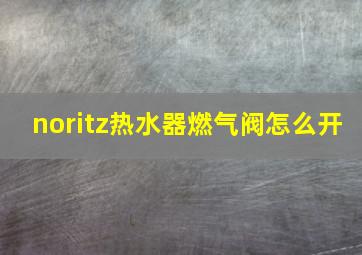 noritz热水器燃气阀怎么开