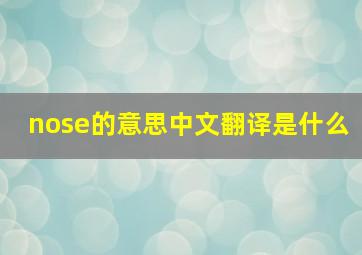 nose的意思中文翻译是什么