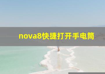 nova8快捷打开手电筒