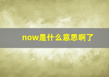 now是什么意思啊了