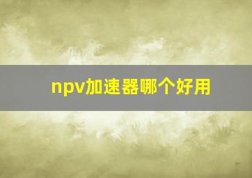 npv加速器哪个好用