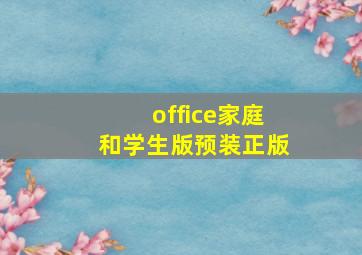 office家庭和学生版预装正版