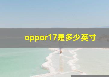 oppor17是多少英寸