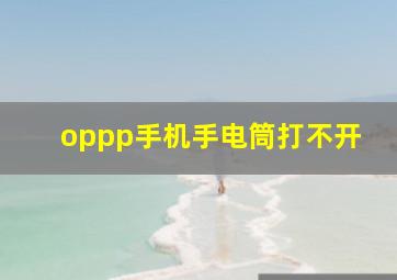 oppp手机手电筒打不开