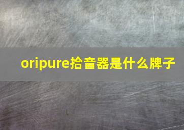 oripure拾音器是什么牌子