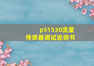 p51530流量传感器调试说明书