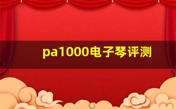 pa1000电子琴评测