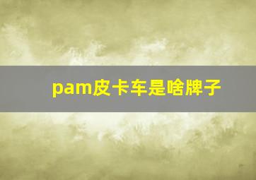 pam皮卡车是啥牌子