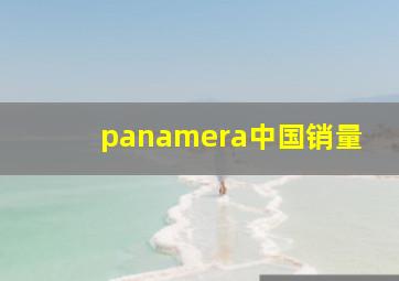 panamera中国销量