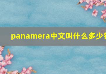 panamera中文叫什么多少钱