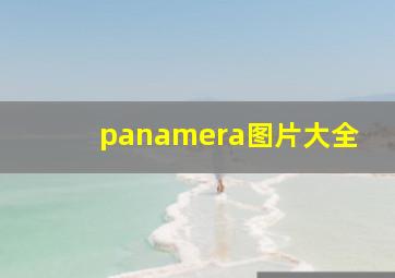 panamera图片大全