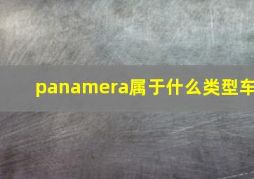 panamera属于什么类型车