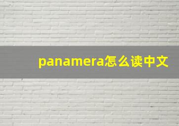 panamera怎么读中文