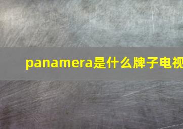 panamera是什么牌子电视