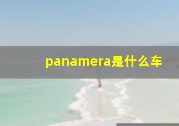 panamera是什么车