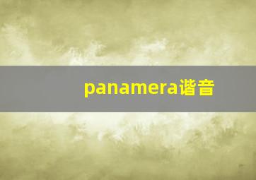 panamera谐音