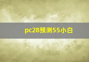 pc28预测55小白