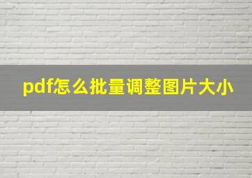 pdf怎么批量调整图片大小