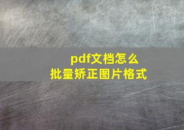 pdf文档怎么批量矫正图片格式