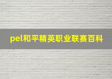 pel和平精英职业联赛百科