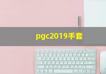 pgc2019手套