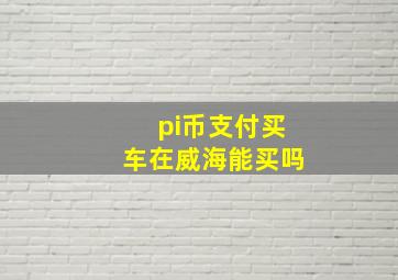 pi币支付买车在威海能买吗