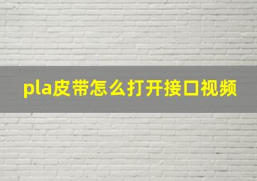 pla皮带怎么打开接口视频