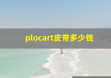 plocart皮带多少钱