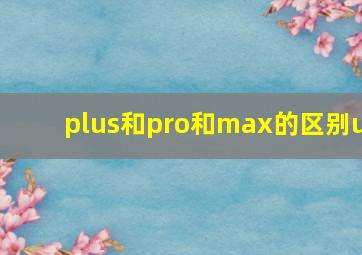 plus和pro和max的区别u