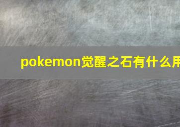 pokemon觉醒之石有什么用