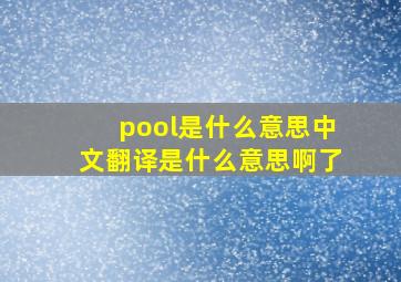 pool是什么意思中文翻译是什么意思啊了