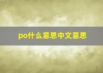 po什么意思中文意思