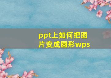 ppt上如何把图片变成圆形wps