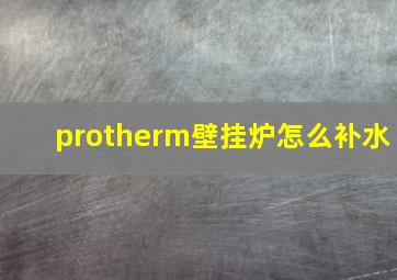 protherm壁挂炉怎么补水