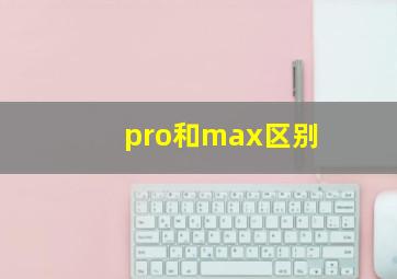 pro和max区别