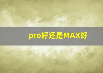 pro好还是MAX好