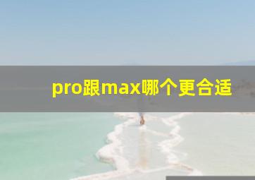 pro跟max哪个更合适