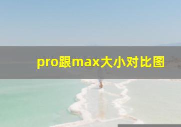 pro跟max大小对比图