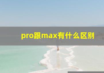 pro跟max有什么区别