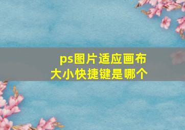 ps图片适应画布大小快捷键是哪个