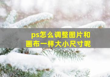 ps怎么调整图片和画布一样大小尺寸呢