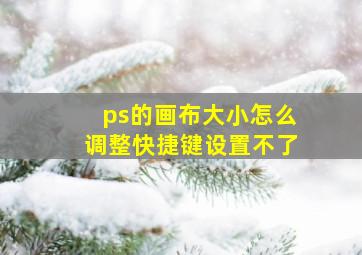 ps的画布大小怎么调整快捷键设置不了