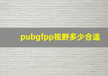 pubgfpp视野多少合适