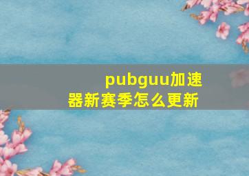 pubguu加速器新赛季怎么更新