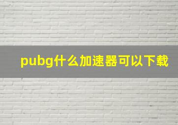 pubg什么加速器可以下载