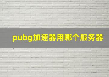 pubg加速器用哪个服务器