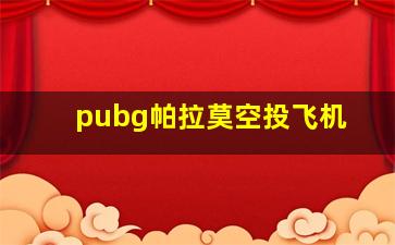 pubg帕拉莫空投飞机