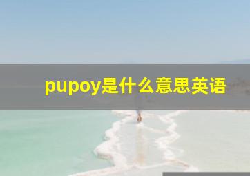 pupoy是什么意思英语