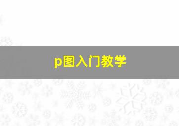 p图入门教学